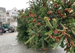 Weihnachtsbaum In Jena Aufgestellt 13112021 007